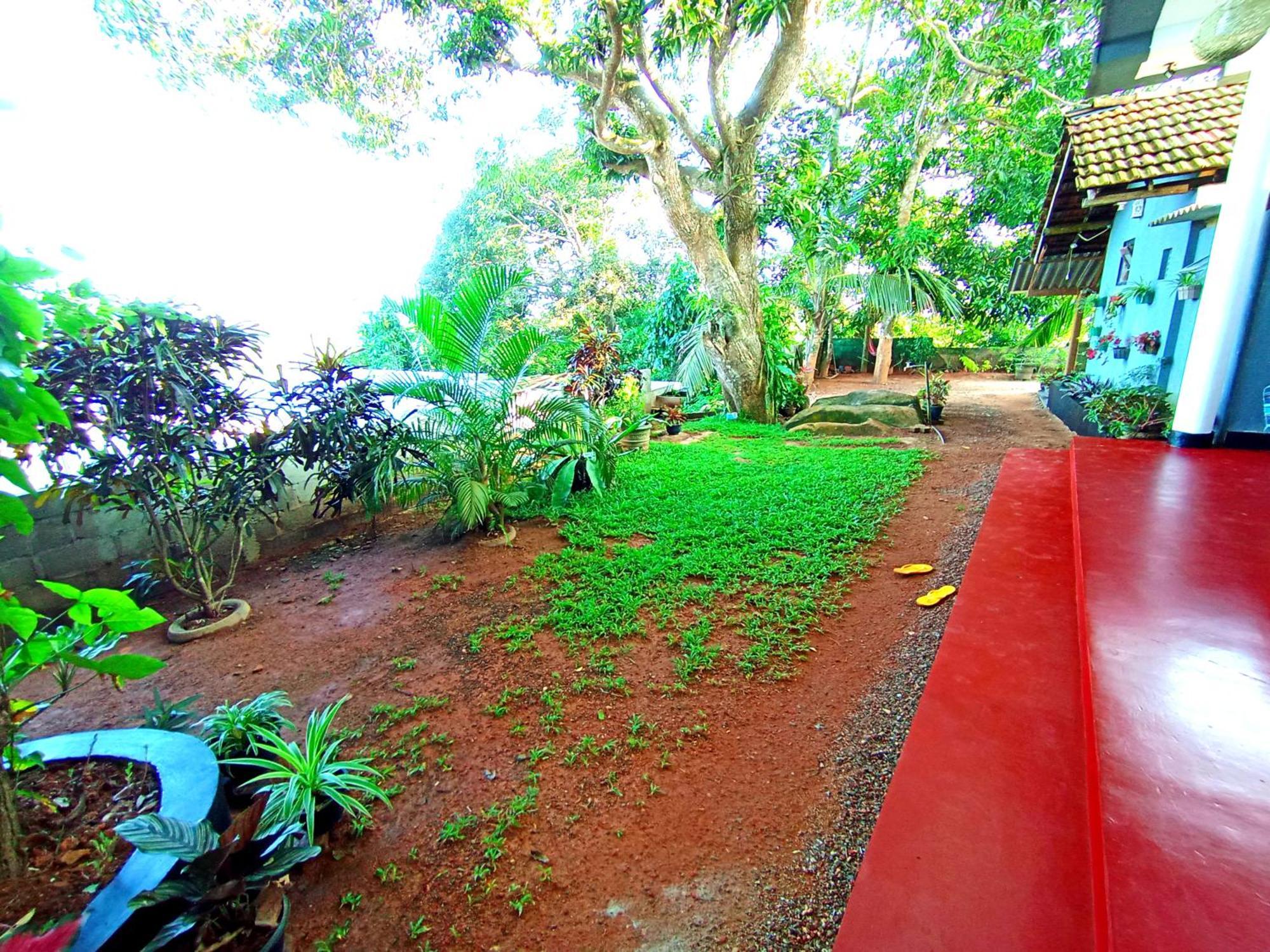 Sasaa Guest House Mirissa Exteriér fotografie
