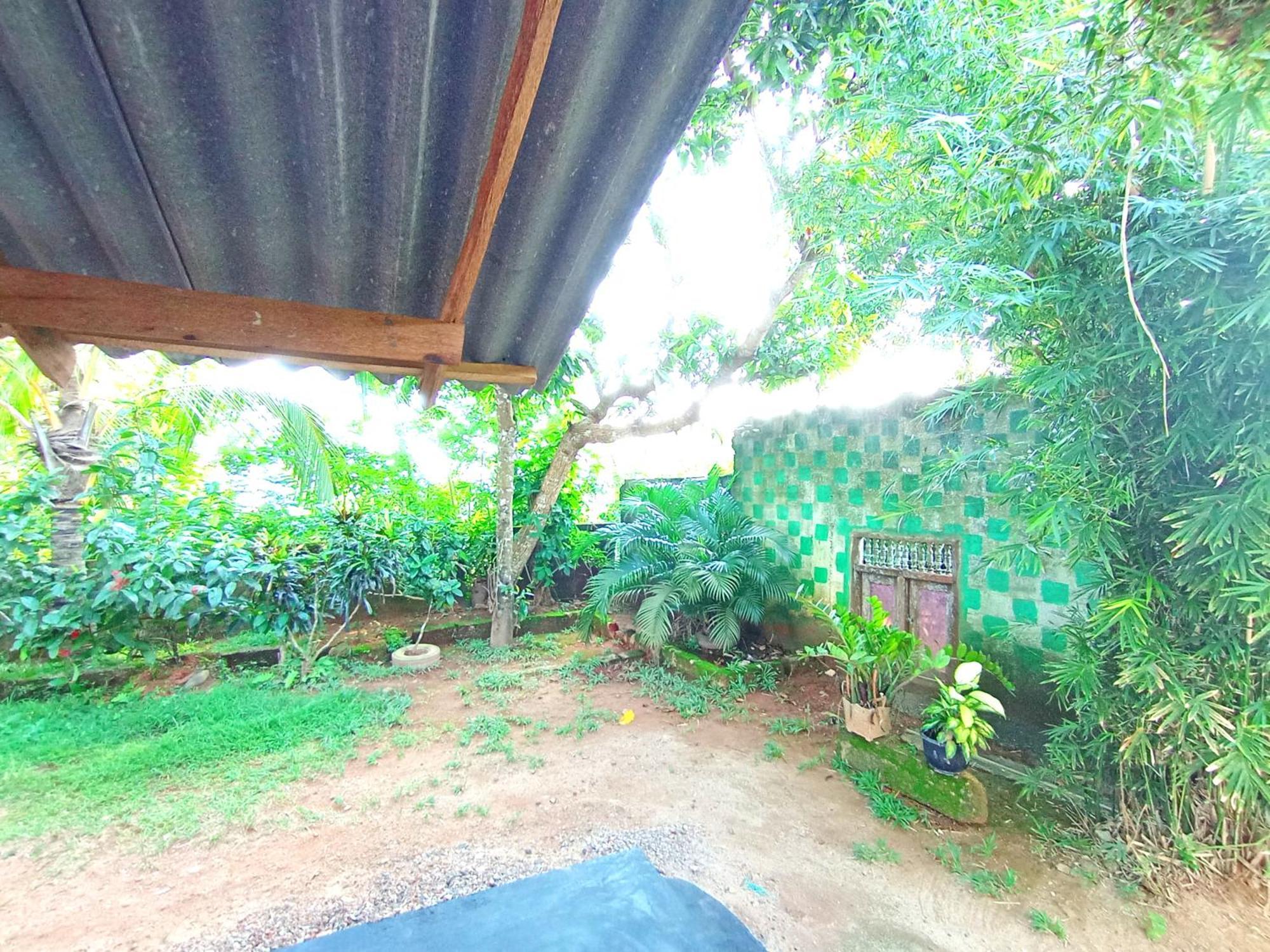 Sasaa Guest House Mirissa Exteriér fotografie