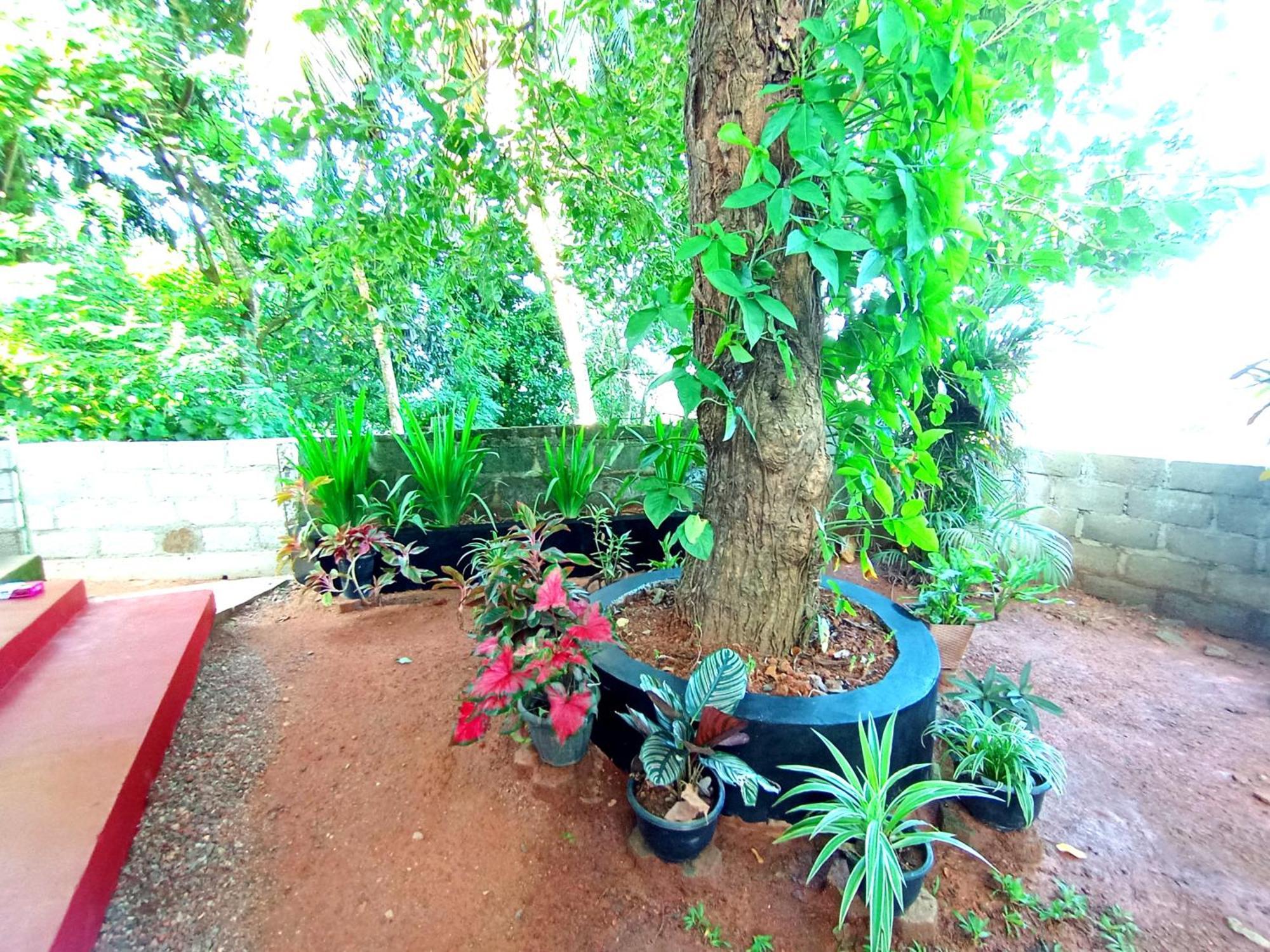 Sasaa Guest House Mirissa Exteriér fotografie