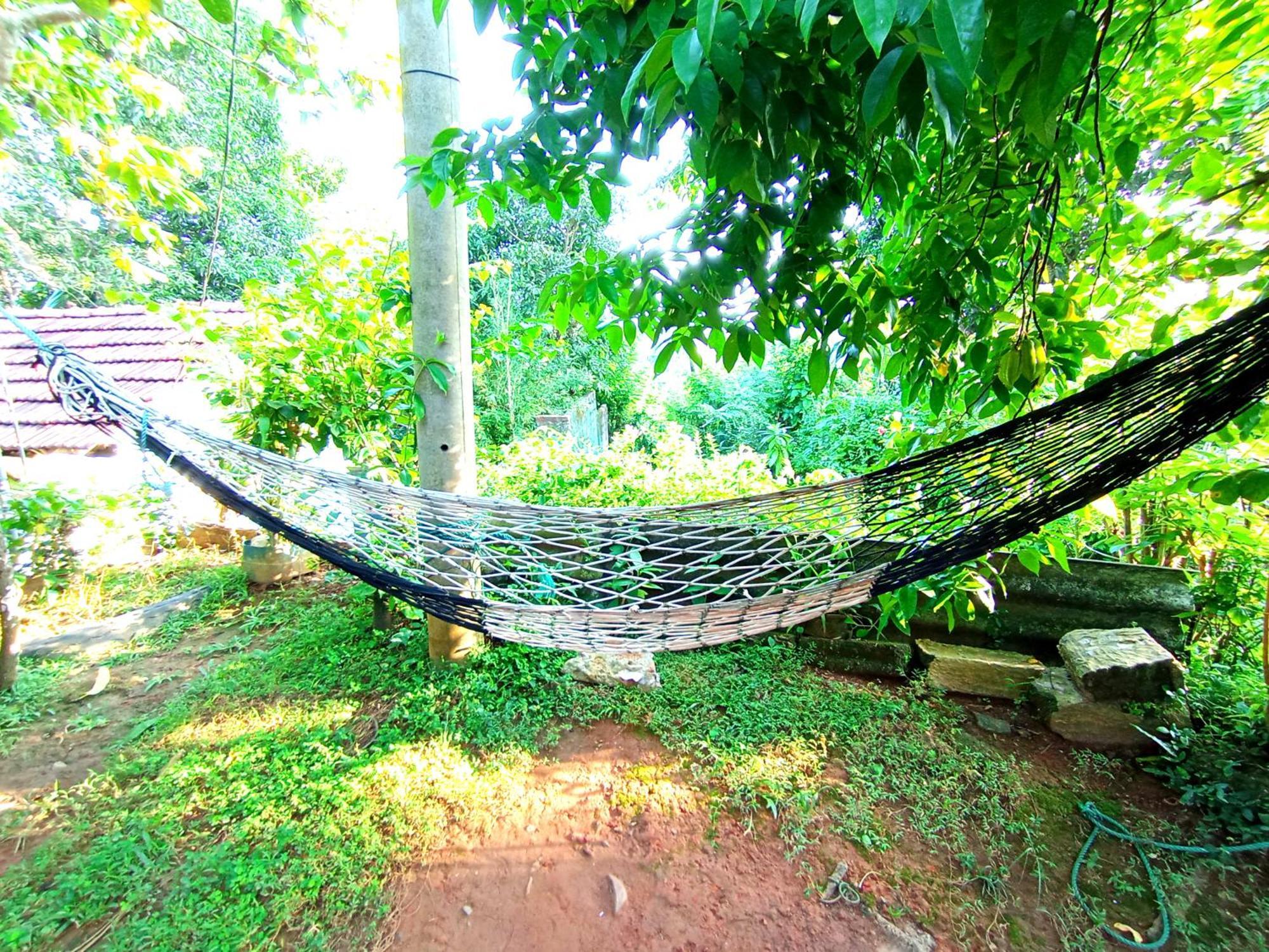 Sasaa Guest House Mirissa Exteriér fotografie